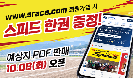 스피드 예상지 PDF 판매